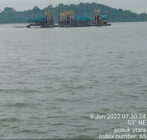 Perairan Laut Dante, Surganya Para Penambang Ilegal