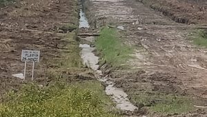 Puluhan Warga Mendo, Datangi dan Pasang Plang Nama di Lahan Plasma Desa Mendo