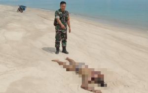 Babinsa Lubuk Besar Ramil 413-04/Koba, Tinjau Temuan Mayat di Pantai Merapin