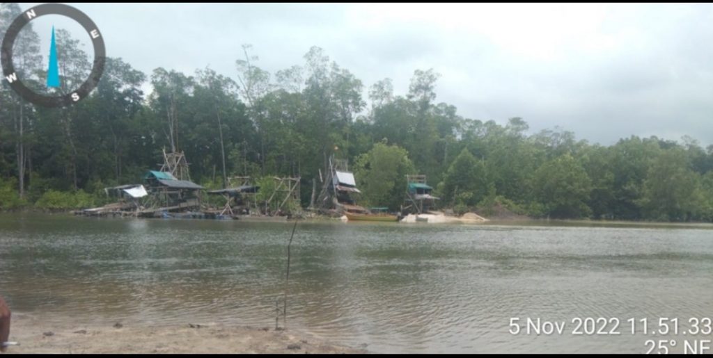 Hutan Bakau Desa Pebuar, Diduga Kembali Dijarah Dan Dikuasai Penambang Liar