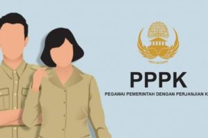 Dibalik Carut Marutnya Pendataan Calon PPPK Nakes Bangka Selatan, Ini Dugaannya!!!