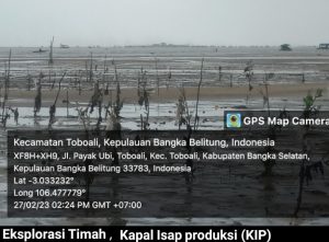 Ditanya 10 Ha Mangrove Rusak Terindikasi Tercemar Limbah KIP, PT TIMAH Bungkam