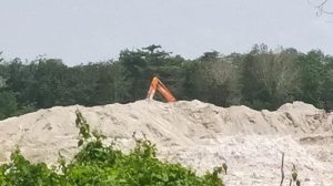 Para Terduga Perambahan Hutan Bakau (HL) Kuruk, Kembali Dibidik Polda Babel