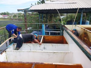Tingkatkan Kualitas Air Ke Pelanggan, Perumda Tirta Pinang Optimalkan Pelayanan