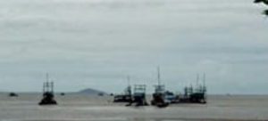 Pantai Lepar Belinyu, Diduga Dikuasai Para Penambang Liar