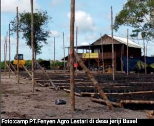 Serobot Lahan warga Desa Jeriji, PT FAL “Ngotot” Garap Perkebunan Sawit.