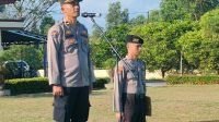 Kasus 2 Kg Ganja Akan Di Gelar Konferensi Pers Polres Bangka Barat Esok Hari