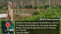 Diduga ada Tambang, di dalam lokasi kebun Pembibitan sawit
