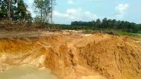 Sikapi Kerusakan HP Pasca Penambangan, KPH Jebu Bembang Antan Mulai Bersurat ke Pihak Berwenang