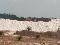 Diduga Ada Bang Jago Sebagai Aktor di Balik Keamanan Tambang Lokasi Eks Kobatin