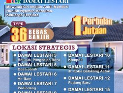 Andre: Bingung Perumahan? Damai Lestari Solusinya
