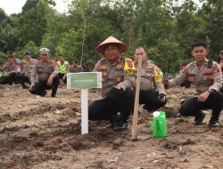 Polres Bangka Tanam 2000 Pohon Kayu Putih di Air Bakung