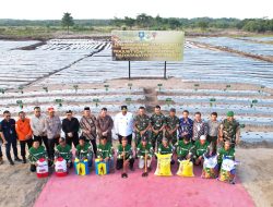 Danrem 045/Gaya Bersama Forkopimda Tanam Cabai Serentak Di Yonif 147/KGJ