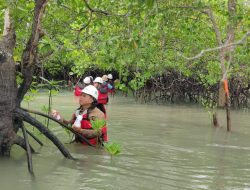 PT Timah Rutin Lakukan Pemantauan Kualitas Biota Laut Di Wilayah Pesisir