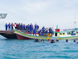 Peringati HUT POLAIRUD, PT Timah Gelar Transplantasi Terumbu Karang di Perairan Pulau Panjang