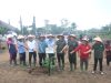 Danrem 045/Gaya Bersama Forkopimda Tanam Bibit Pohon Dalam Rangka HUT Ke-24 Provinsi Babel