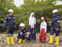 Fokus Pengelolaan Lingkungan Berkelanjutan, PT Timah Lakukan Penanaman Pohon Berkala Dilahan Kritis Dan Bekas Tambang