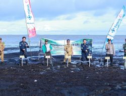 PT Timah Tanam 3000 Mangrove Di Pantai Sesai Party Beach