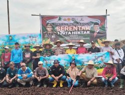 PT Timah Dan Polres Kuba Tanam Jagung Dukung Ketahanan Pangan