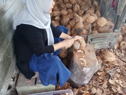 Dukungan PT Timah, Nuriah Kembangkan Usaha Santan Kelapa
