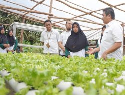 PT Timah Dukung Pemberdayaan Perempuan Lewat Hidroponik Di Karimun