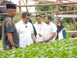 Kelompok Hidroponik Binaan PT Timah Terus Berkembang dan Berikan Kontribusi Nyata Bagi Masyarakat