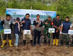 PT Timah Kembali Galakkan Upaya Rehabilitasi Ekosistem Pesisir dengan Lakukan Penanaman Mangrove di Berbagai Wilayah