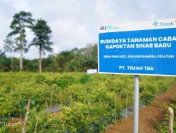 Dukung Ketahanan Pangan, PT Timah Gandeng Gapoktan Sinar Baru Sukseskan Asta Cita Presiden