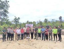 PT TAM, Anak Perusahaan PT Timah Dan Korem 045 Gaya Tanam 22.000 Pohon Di Bangka Selatan