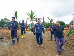PT Timah Kembangkan Tanjung Ular Farm Estate Untuk Ketahanan Pangan