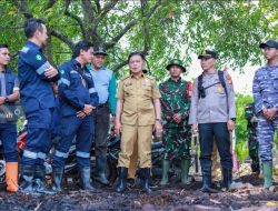 Dukung Ekonomi Dan Ekologi, PT Timah Tanam Bakau & Bantu Masjid
