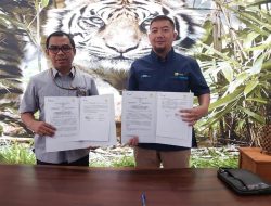 Dukung Operasional, PT Timah Gandeng PLN Untuk Elektrifikasi