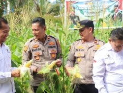 Polres Bangka Barat Laksanakan Zoom Meeting Dan Panen Perdana Jagung Serentak