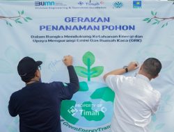 Tanam Ribuan Bibit Pohon, Upaya PT Timah Bersama Forkopimda Kurangi Dampak Emisi Gas Rumah Kaca