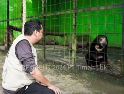 Maraknya Tambang Timah Ilegal, Ancam Ekosistem Satwa Endemik Dan Lingkungan Berkelanjutan