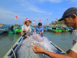 Inisiatif PT Timah Tingkatkan Kesejahteraan Nelayan, Pemberdayaan Kelompok Hingga Jaminan Perlindungan Sosial