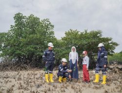 Tanam Ratusan Ribu Mangrove, Aksi Nyata PT Timah Dukung Program Net Zero Emission