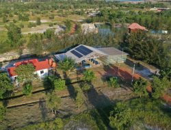 PT Timah Sinergikan Rehabilitasi Lingkungan Dan Energi Hijau Lewat PLTS Di Lahan Bekas Tambang