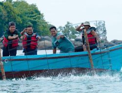 Tenggelamkan Ratusan Coral Garden, Komitmen PT Timah Jaga Ekosistem Laut Dan Dukung Wisata Bahari