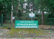 Hutan Kota Mentok, Bukti Komitmen PT Timah Jaga Flora Dan Fauna Endemik Serta Kawasan Konservasi
