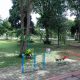 Tins Green Garden Foresttree Bukit Baru, Ruang Terbuka Hijau Yang Dikelola PT Timah Guna Mendukung Gaya Hidup Sehat