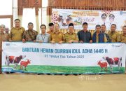 Bupati Bangka Tengah Apresiasi Atas Konsistensi PT Timah Berbagi Hewan Kurban