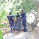 Hari Lingkungan Hidup Sedunia, PT Timah Gelar Aksi Nyata Kumpulkan Sampah Plastik Hingga Tanam Pohon Di Pantai