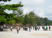 Aksi Bersih Pantai Dan Sampah Plastik, Kolaborasi PT Timah Bersama Pokdarwis Desa Rambak Peringati Hari Lingkungan Hidup Sedunia