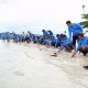 Dukung Pariwisata Dan Ekosistem Laut, PT TIMAH Tbk Bersama AAI Sumbagsel Lepas Liar Tukik Sisik Di Pulau Kelayang
