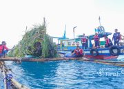 Harmoni Laut Dan Tambang : Langkah Nyata PT Timah Lestarikan Ekosistem
