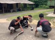 Tiga Remaja Pengguna Knalpot Brong Dibina Lewat Problem Solving Di Polsek Kelapa