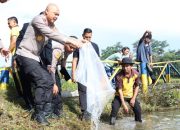 Polda Babel Kembali Tebar Ribuan Bibit Ikan Di BhayPark, Kapolda : Semoga Bisa Berikan Hiburan Bagi Masyarakat