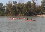 Peringati Hari Mangrove Dunia, PT Timah Dukung Kegiatan Penanaman Mangrove dan Lomba Dayung