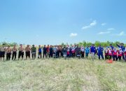Jaga Ekosistem Pesisir, PT Timah Gandeng HNSI Bangka Tanam Ribuan Mangrove